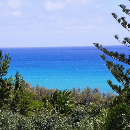 Porto Santo - Pedras Pretas Beach House ภายนอก รูปภาพ