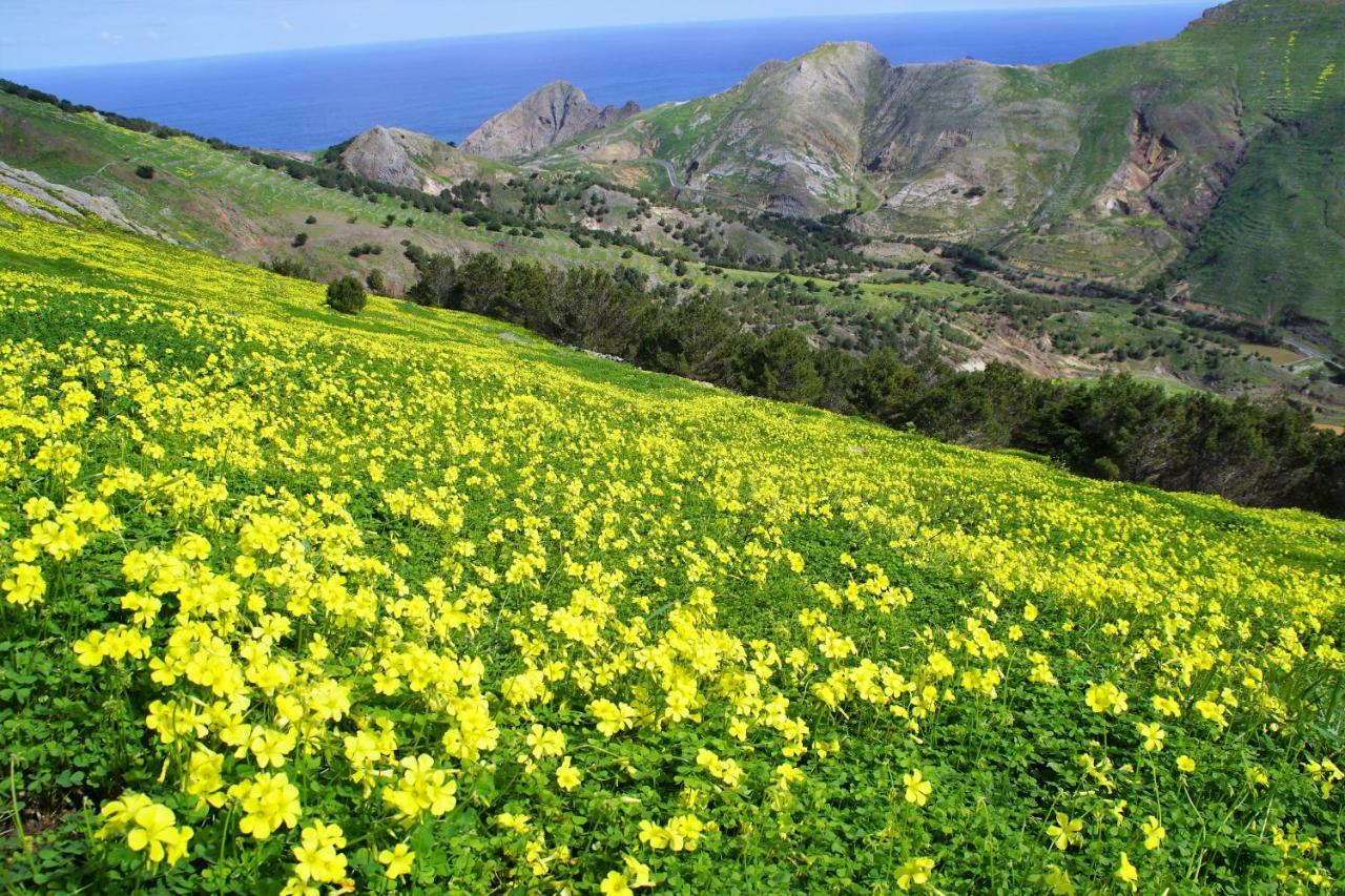 Porto Santo - Pedras Pretas Beach House ภายนอก รูปภาพ